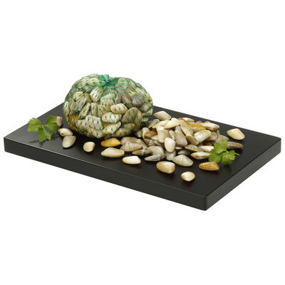 Coquina malla 500g