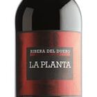 Vino tinto DO Ribera del Duero La Planta joven