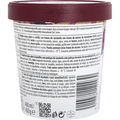 Helado en tarrina H&auml;agen-Dazs 460ml vainilla&macadamia