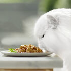 Comida húmeda gato Purina pack 4