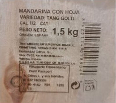 Mandarina o clementina cesta 1,5kg