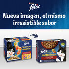 Comida h&uacute;meda gato F&eacute;lix Sensation pescados pack 4