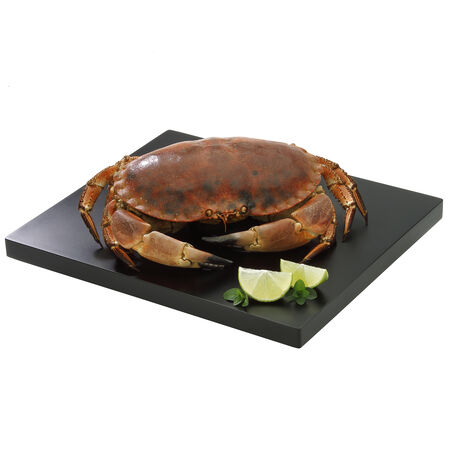 Buey de mar cocido Aligator 600-800g