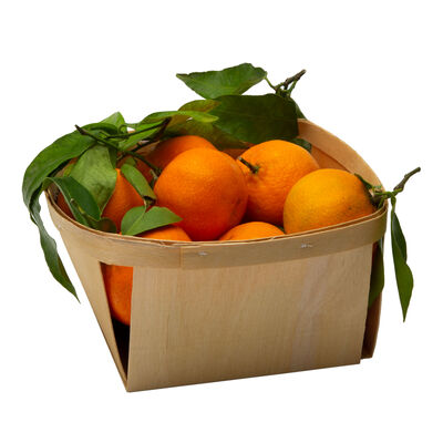 Clementina-mandarina cesta 1,4kg