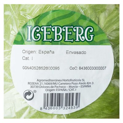 Lechuga iceberg 450g