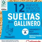 Huevos de gallinas sueltas en el gallinero Alipende 12u "clase l-xl"