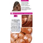 Tinte para el pelo sin amoníaco Casting Crème Gloss nº 600 rubio oscuro