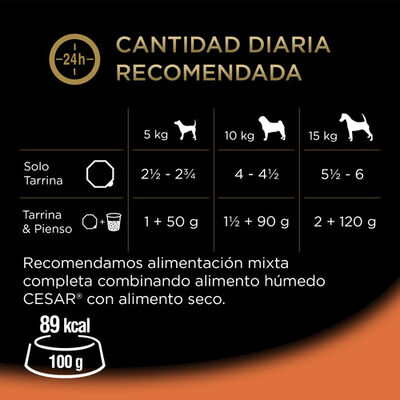 Comida h&uacute;meda perro C&eacute;sar pat&eacute;s cl&aacute;sicos pack 4