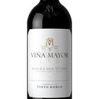 Vino tinto DO Ribera del Duero Vi&ntilde;amayor roble