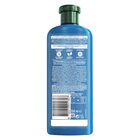 Champ&uacute; Herbal Essences 350ml repara aceite de argan