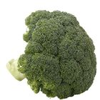 Brocoli