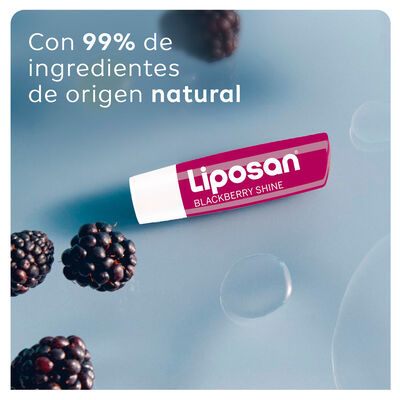 B&aacute;lsamo labial Liposan 4,8 gr Black Berry