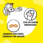 Snack gato Catisfactions pollo 60g