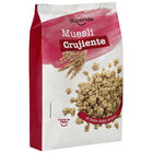 Muesli crujiente Alipende 500g