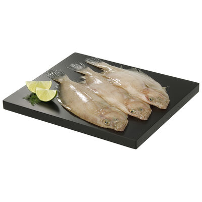 Gallo de raci&oacute;n