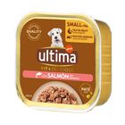 Ultima dog mini h&uacute;medo pat&eacute; salm&oacute;n y arroz