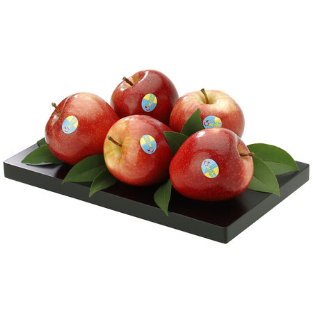 Manzana gala