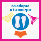 Salvaslip Evax 38+22 unidades Maxi-Plus