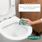 Limpiador desinfectante multiuso Sanytol 750ml