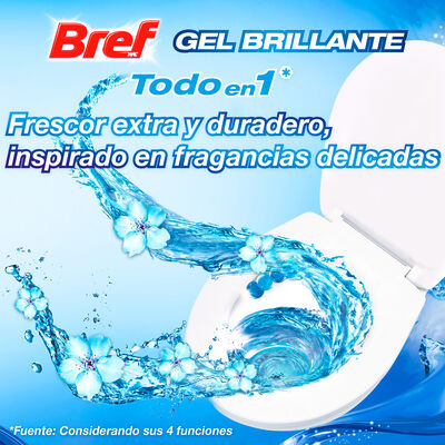 Limpiador Bref WC colgador 2 unidades &Aacute;rtico