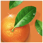 Desengrasante Don Limpio Cocina Cítrico Spray 800 ml