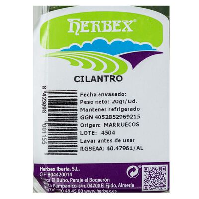 Cilantro bolsa 20g
