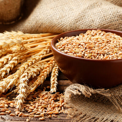 Champ&uacute; Biotina y Col&aacute;geno OGX Cabello Fino,385 ml