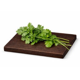 Cilantro bolsa 20g