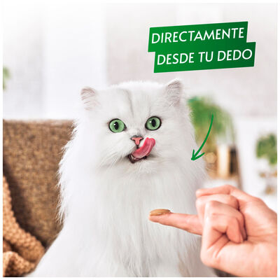 Snack gato Purina Pure gourmet salmón 5 uds