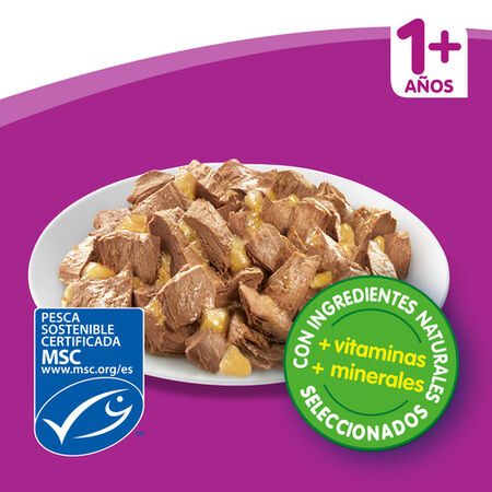 Comida húmeda gato Whiskas gelatina pescado pack 4