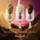 Helado Magnum euphoria 3 uds