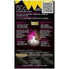 Tinte de cabello sin amon&iacute;aco Garnier Olia n&ordm; 1.0 negro profundo