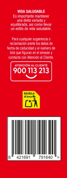 Pastelito Briochoco Alipende pepitas chocolate 240g