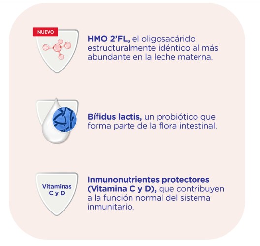 Leche continuación en polvo Nidina 2 Nestlé desde 6meses 800g