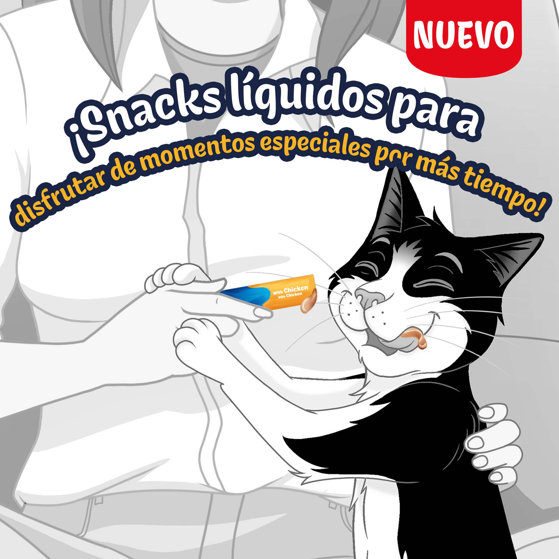 Alimento para gato PURINA&reg; FELIX&reg; Deli Moments Con Salmón 4x10g