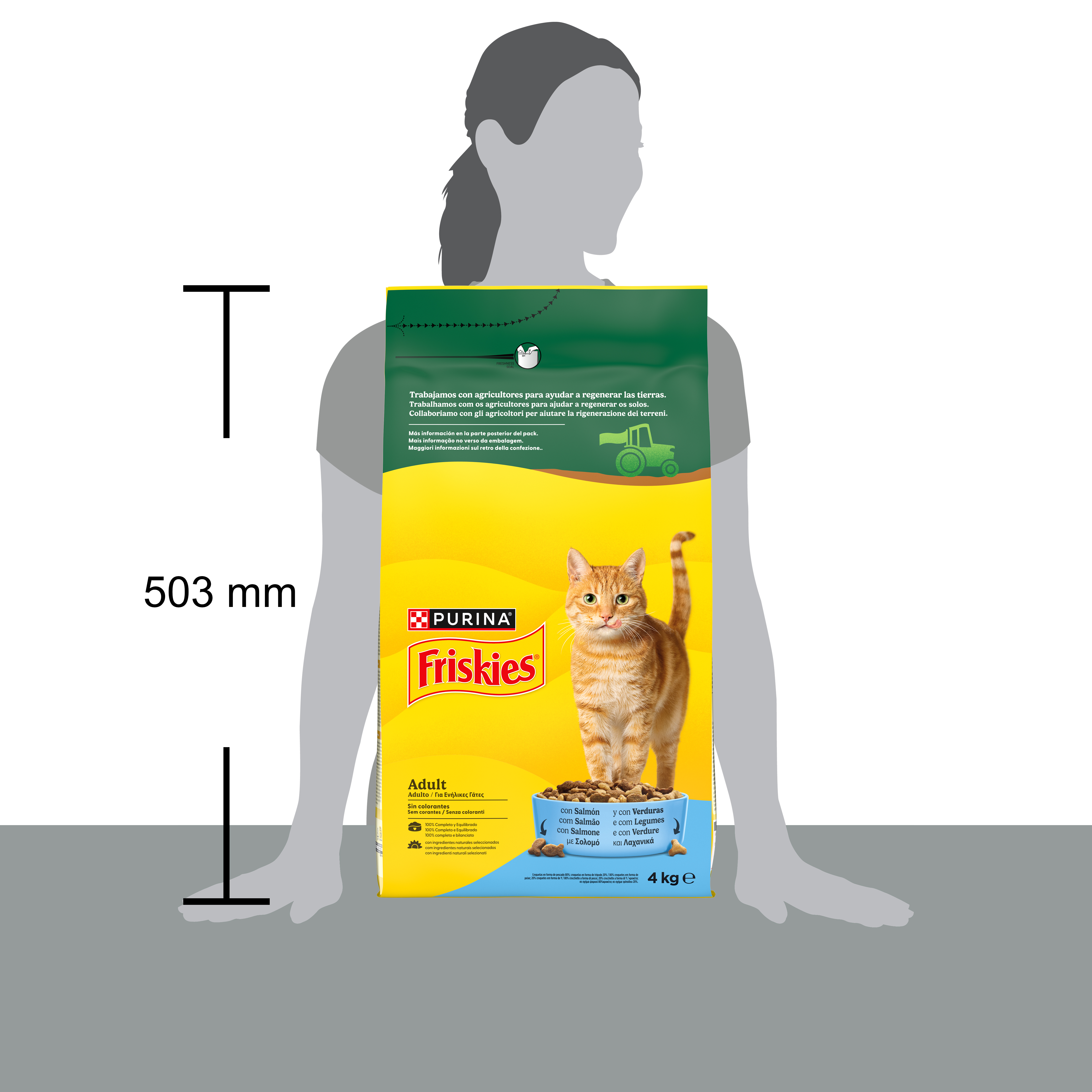 Alimento seco para gato adutlto Friskies 4kg Salmón y verduras