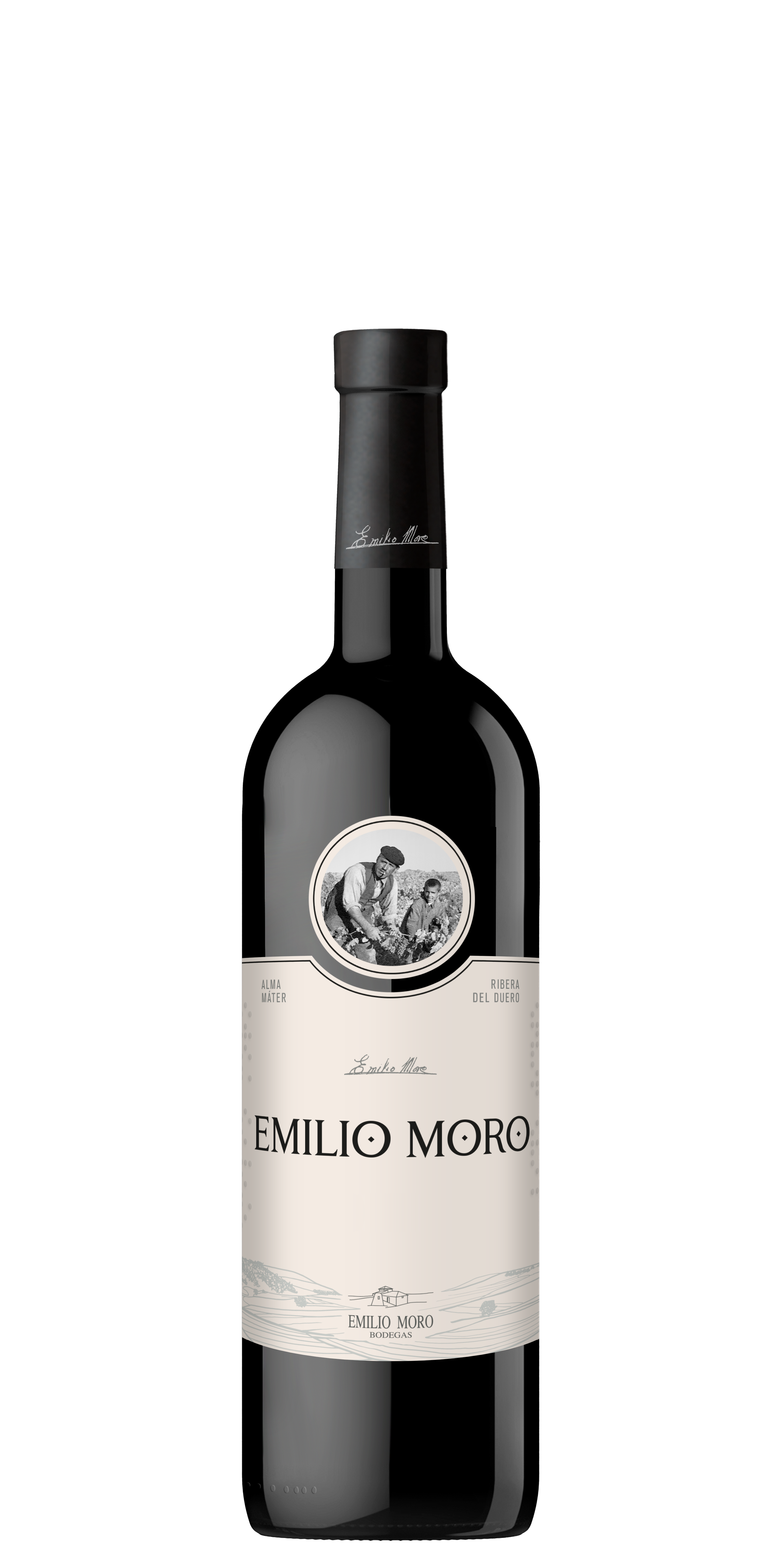 Vino tinto DO Ribera del Duero Emilio Moro