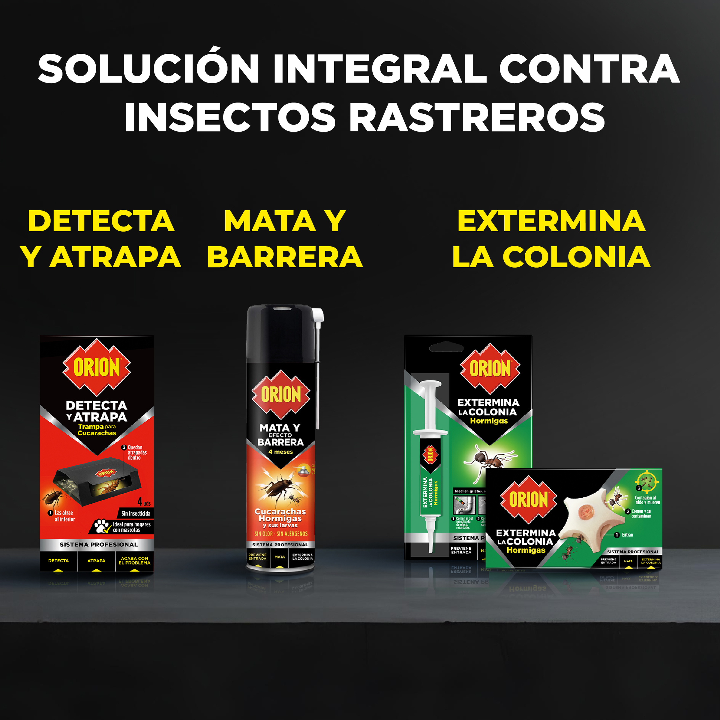 Insecticida jeringa Orion hormigas formula en gel