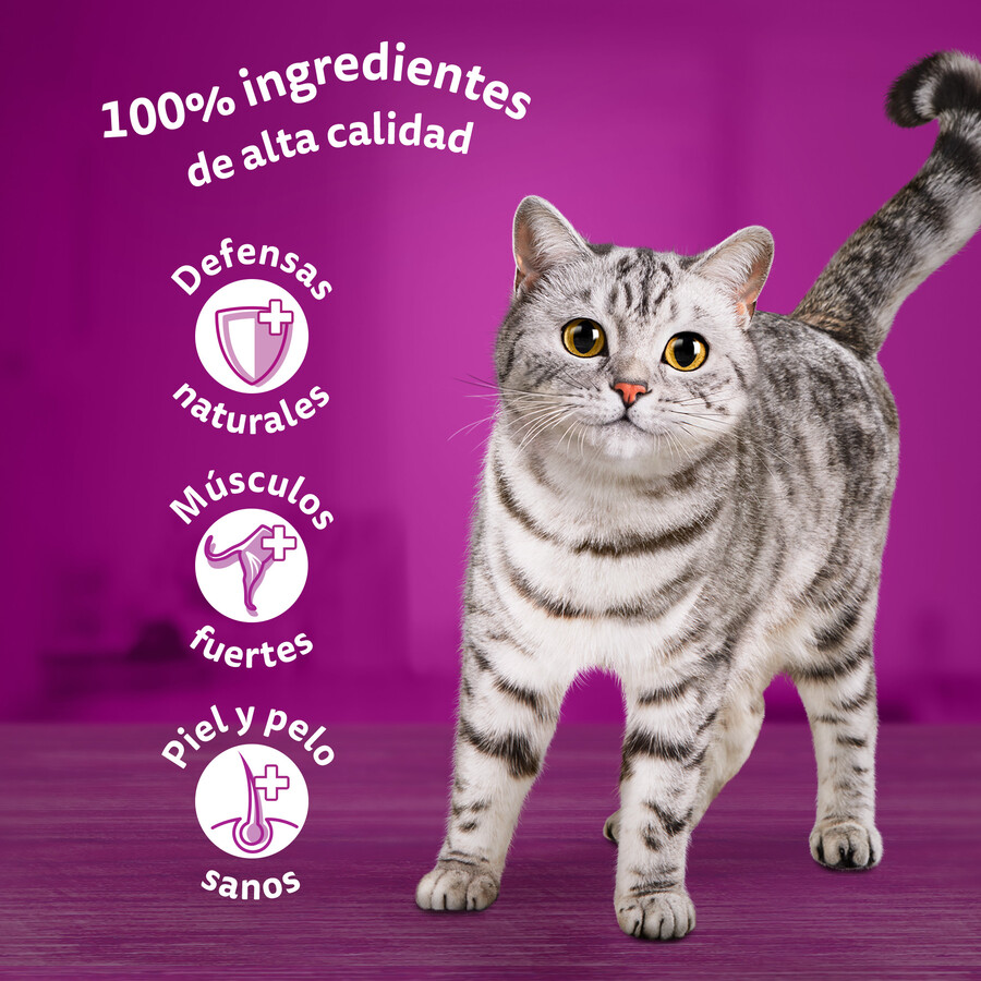 Comida para gato de buey y pollo Whiskas 4x85g