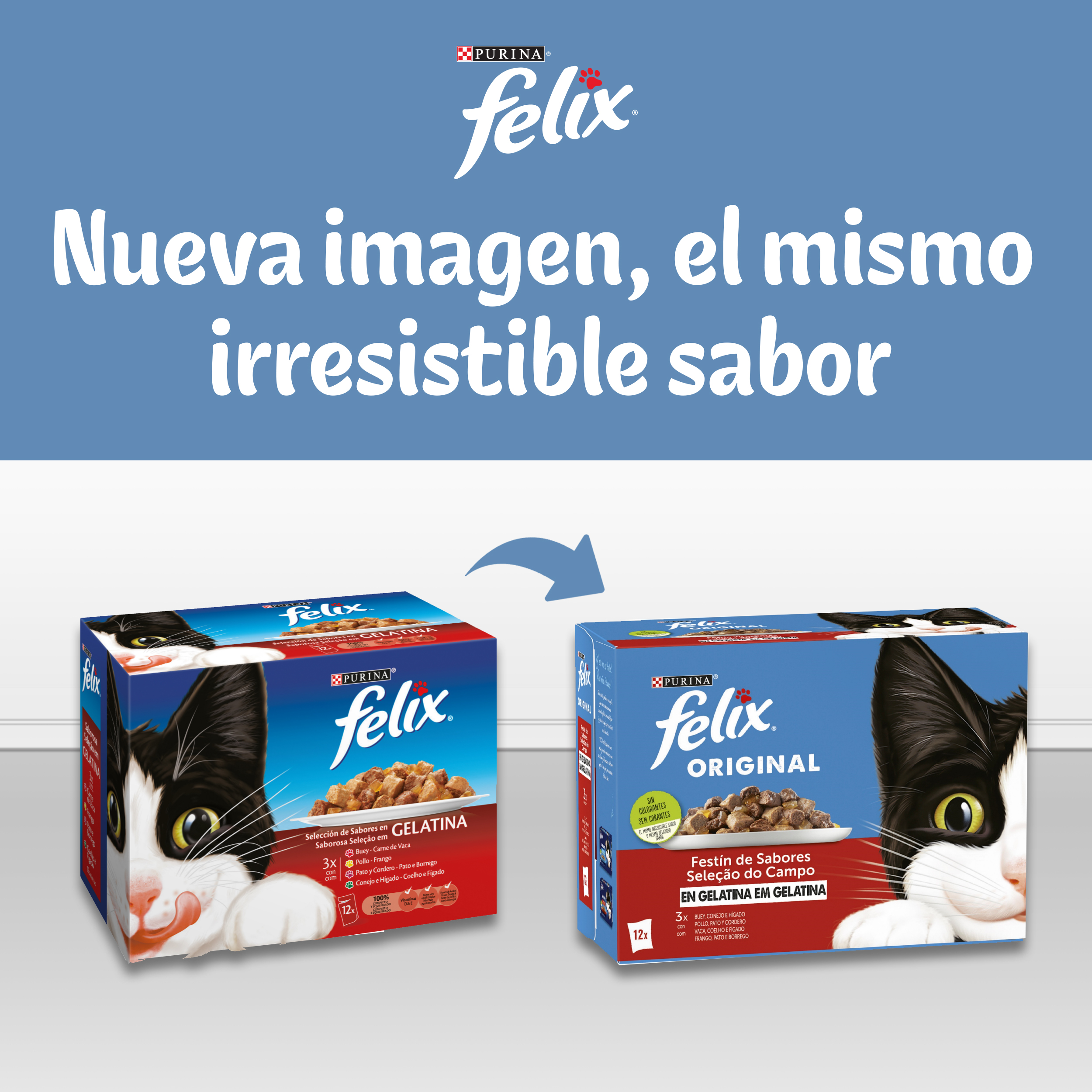 Comida húmeda gato Félix gelatina pescado pack 4