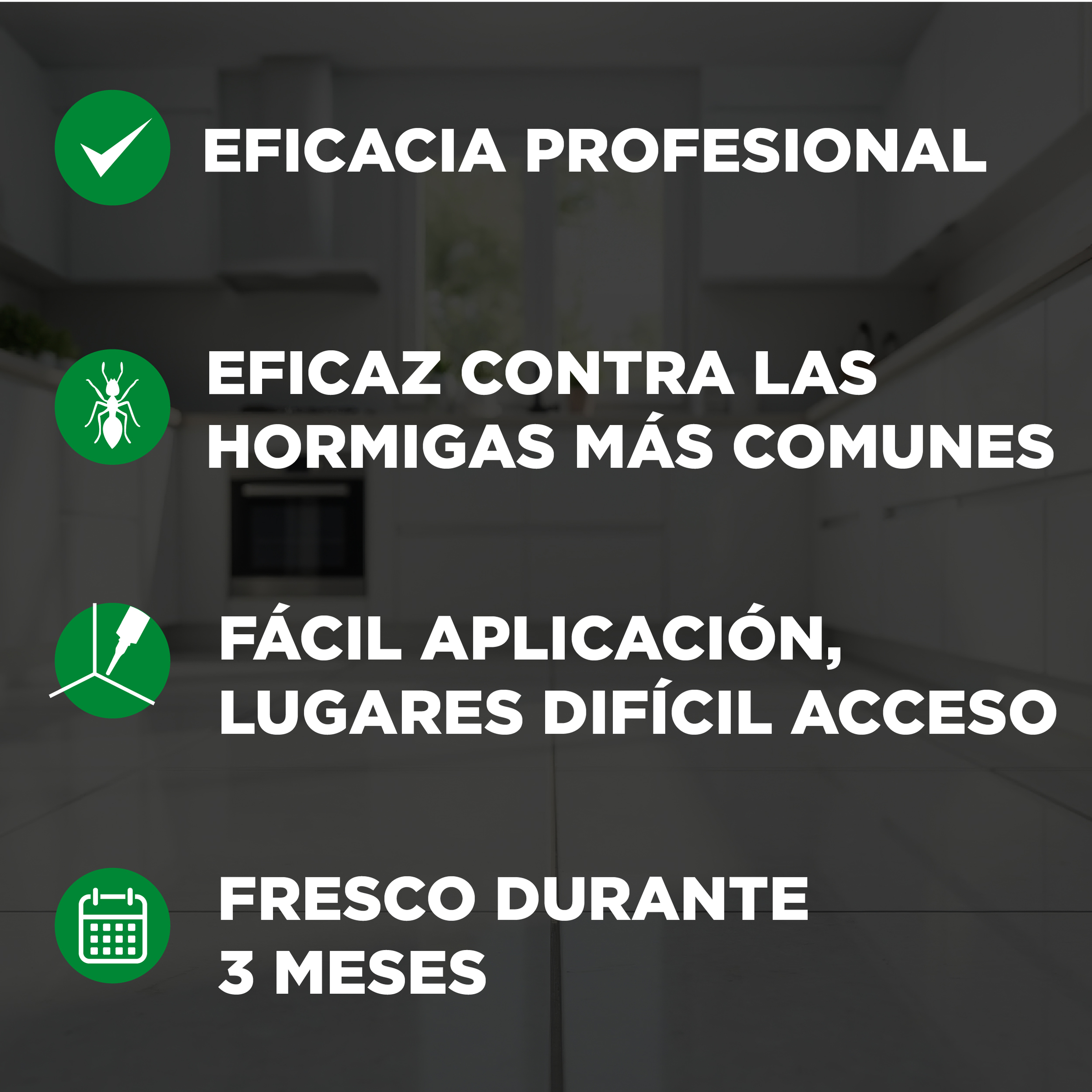 Insecticida jeringa Orion hormigas formula en gel