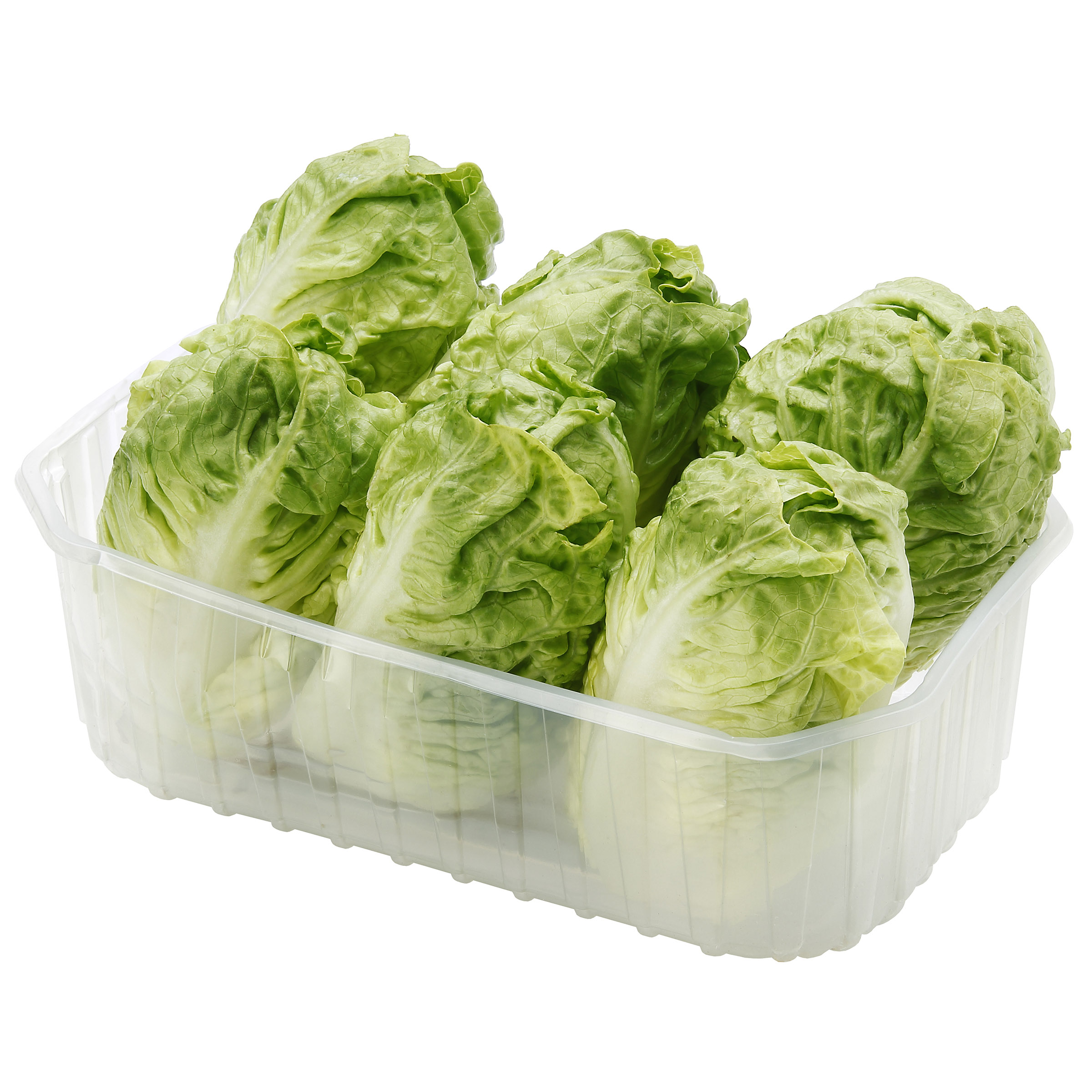 Corazón de lechuga bandeja 6uds