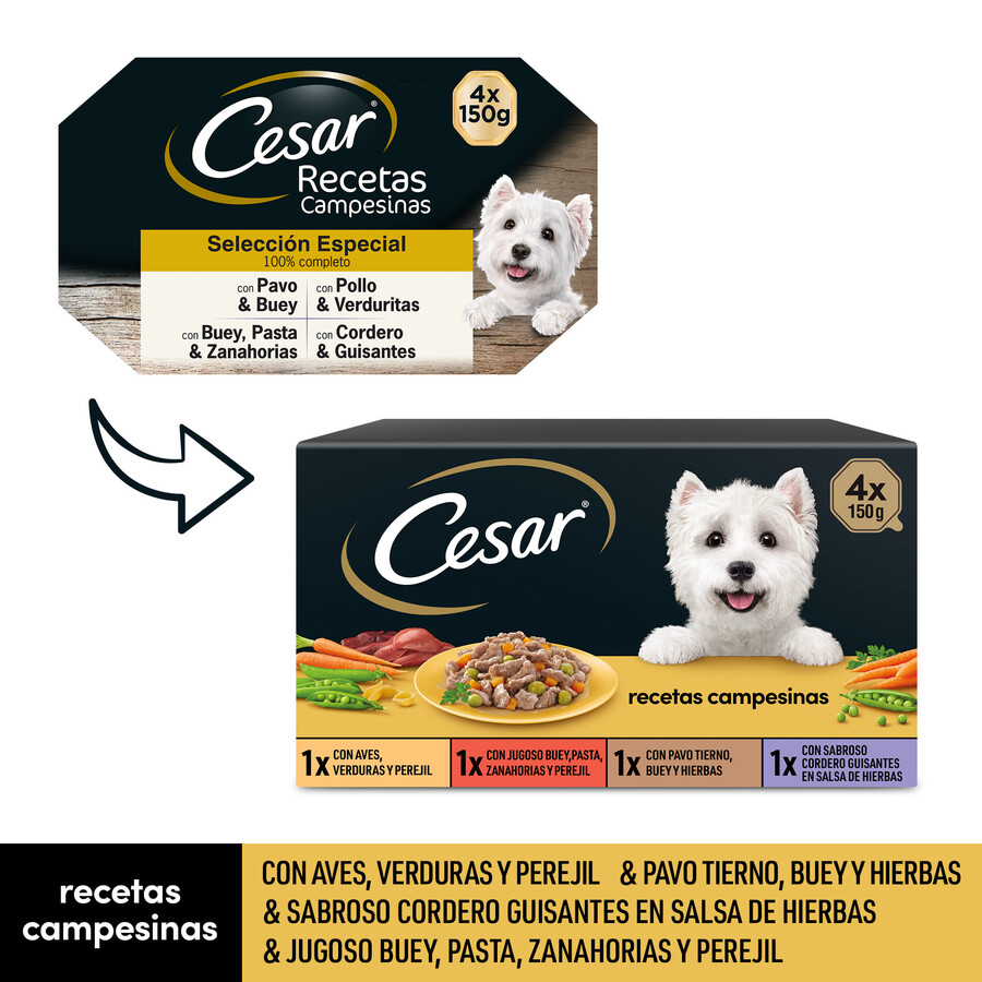 Comida húmeda perro César recetas campesinas pack 4 x 150g