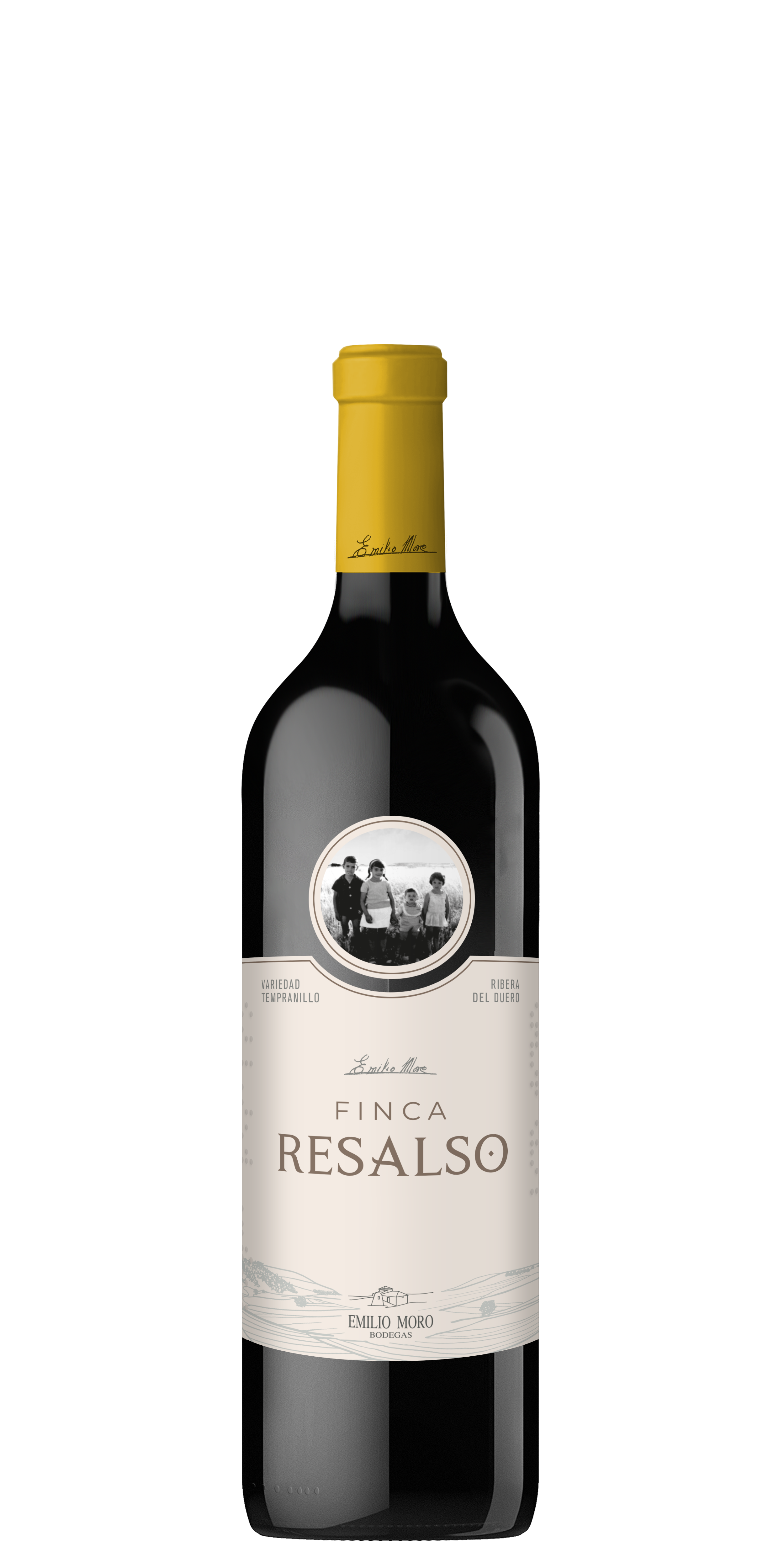Vino tinto DO Ribera del Duero Resalso joven
