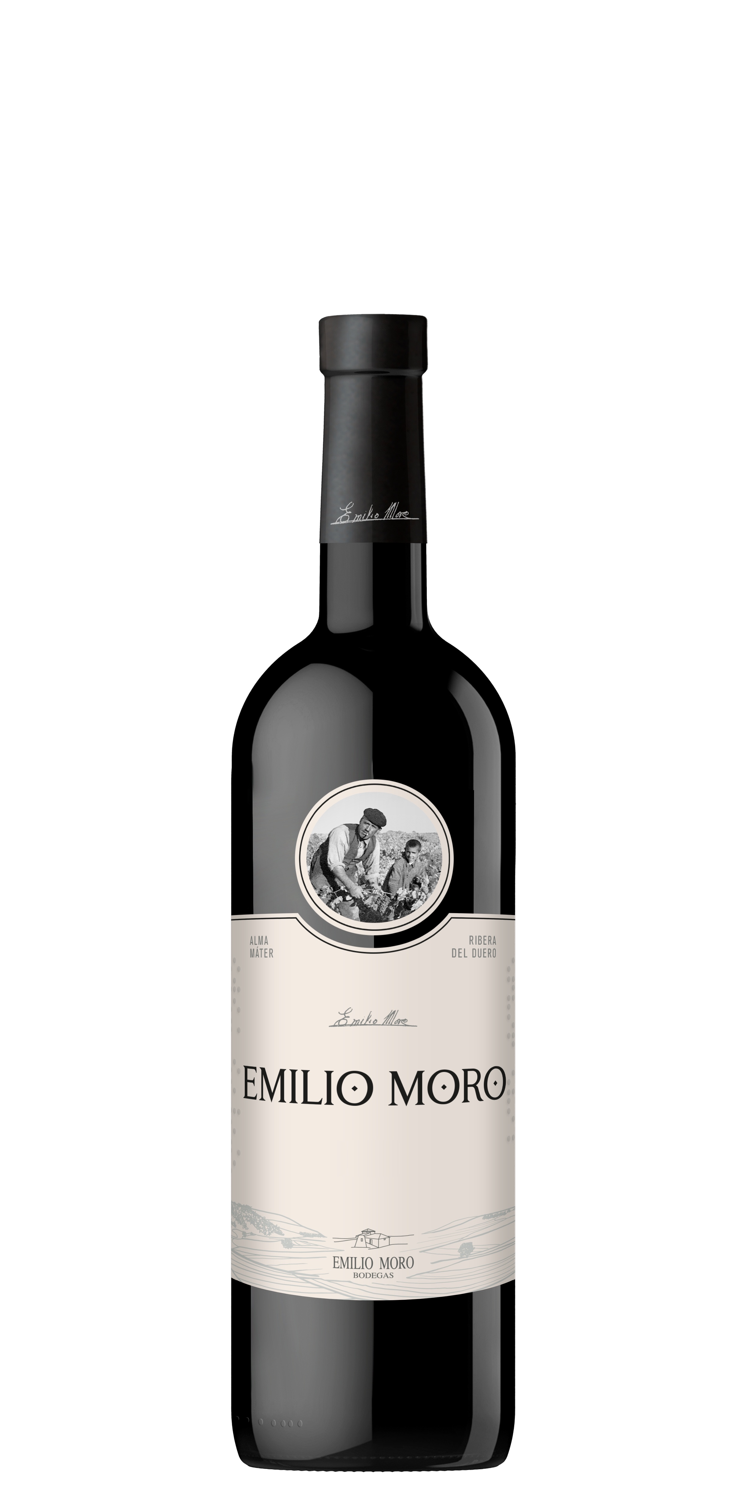 Vino tinto DO Ribera del Duero Emilio Moro