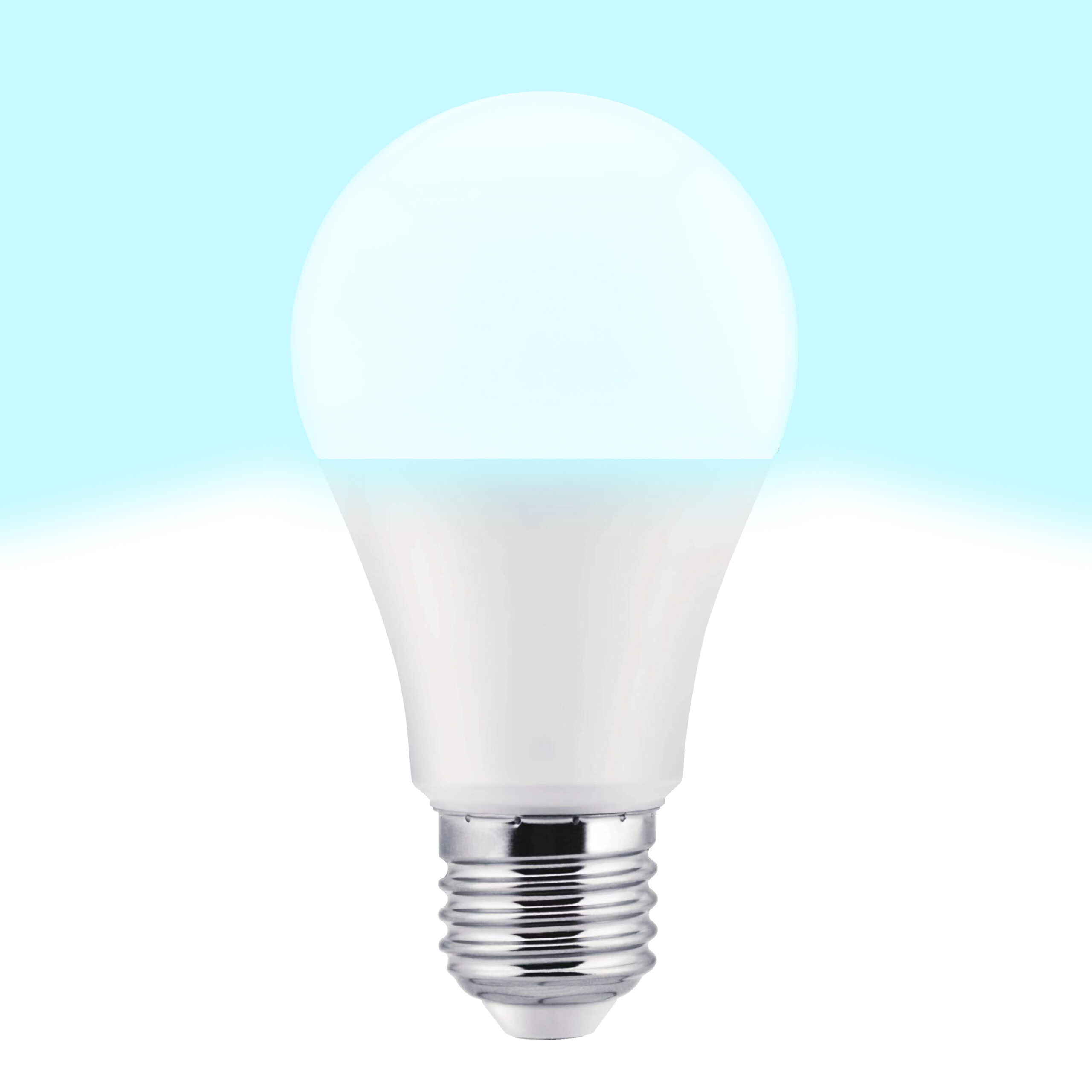Bombilla Led estandar e27 plástico TM a60 10W fría