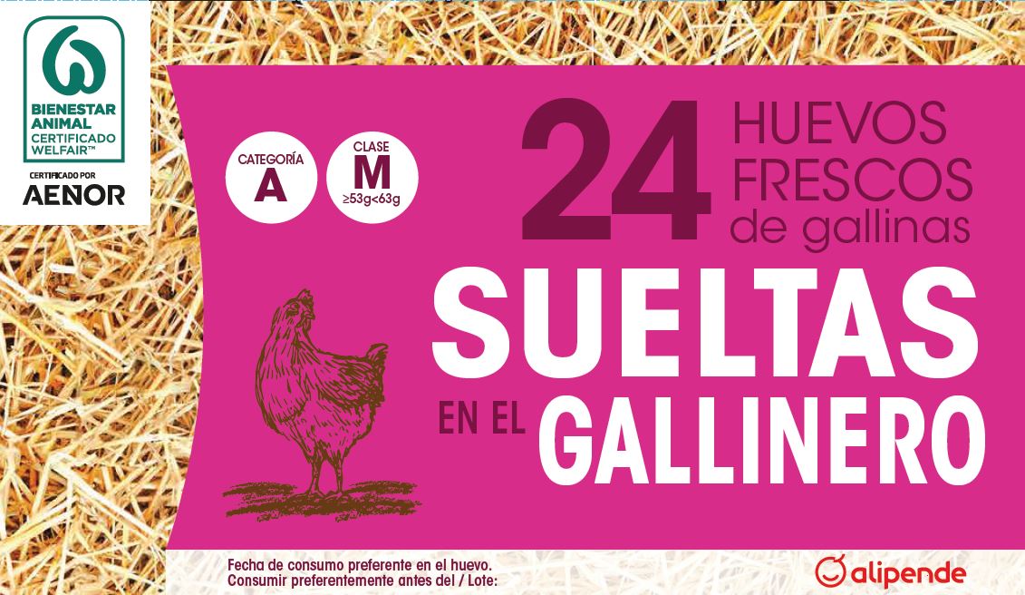 Huevos de gallinas sueltas en el gallinero Alipende 24u "clase m"