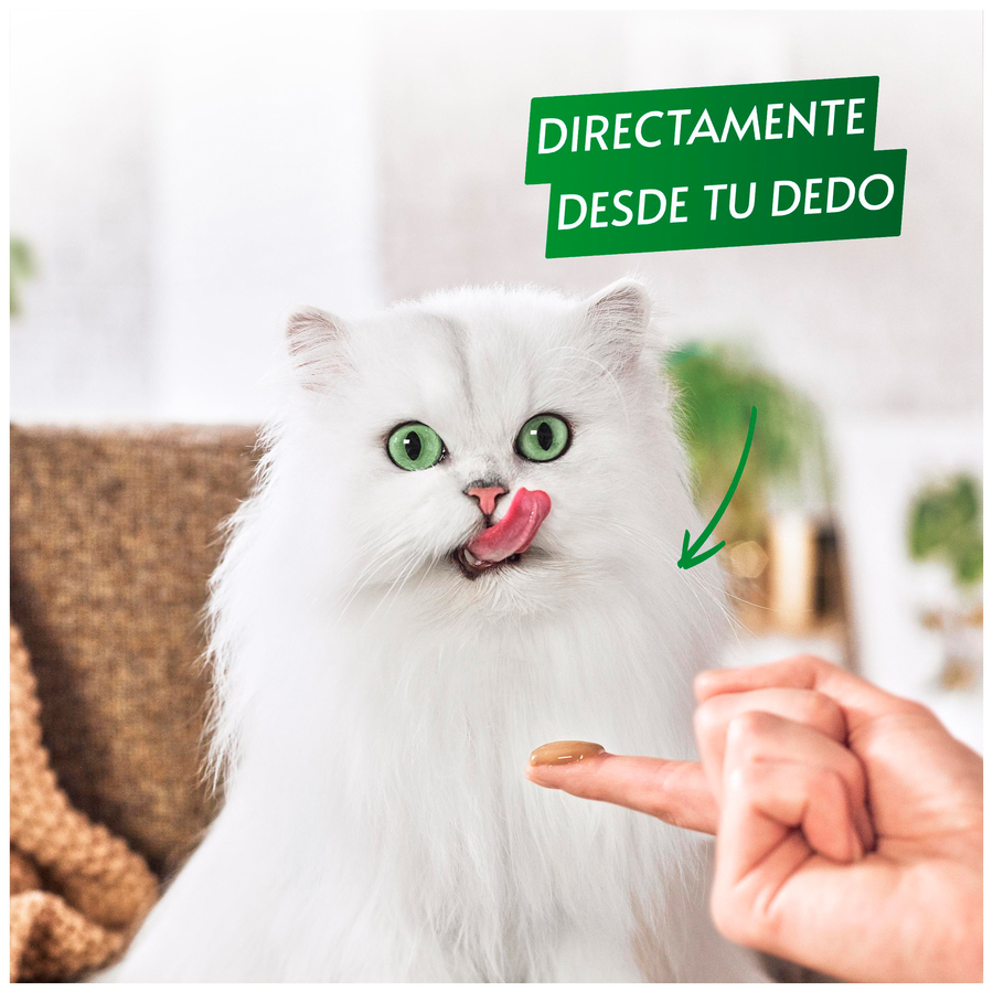 Snack gato Purina Pure gourmet salmón 5 uds