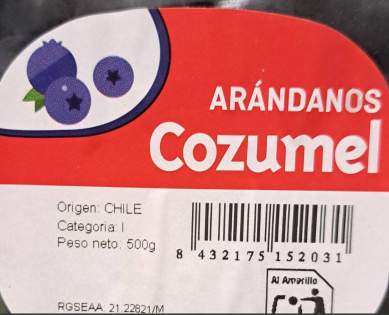 Arándano bandeja 500g