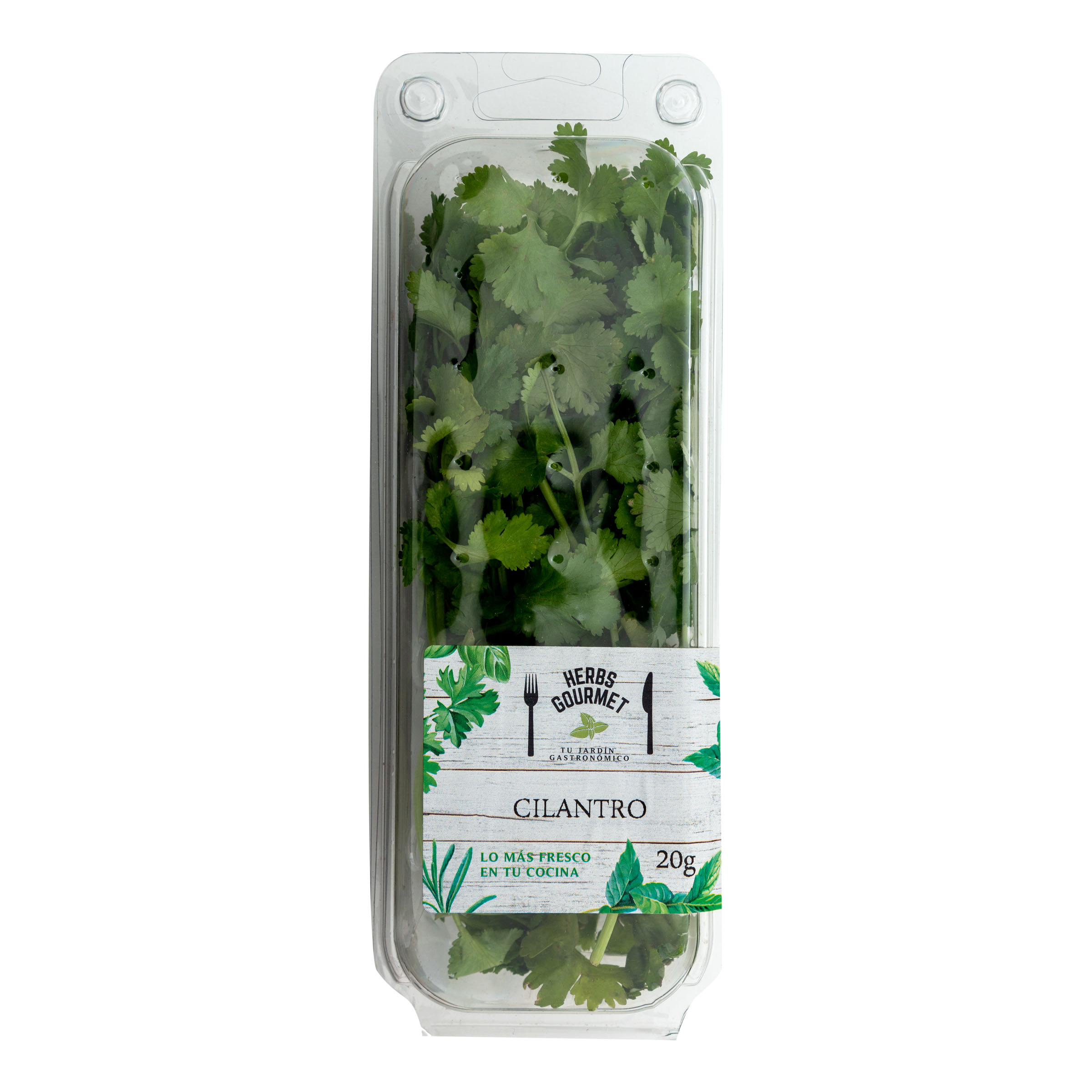 Cilantro bolsa 20g